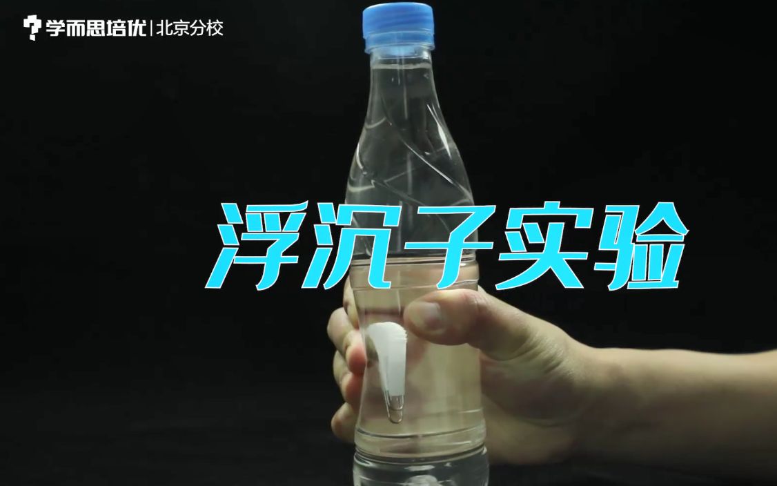 数字式密度计操作作业指导书pdf(图1)
